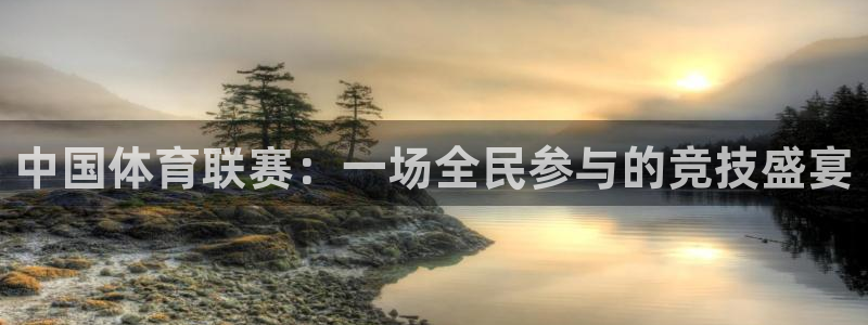 中国体育联赛：一场全民参与的竞技盛宴