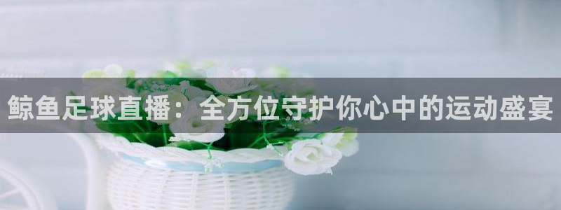 nba在线直播吧极速体育