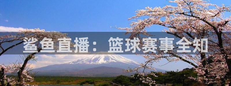 nba无插件极速体育直播：鲨鱼直播：篮球